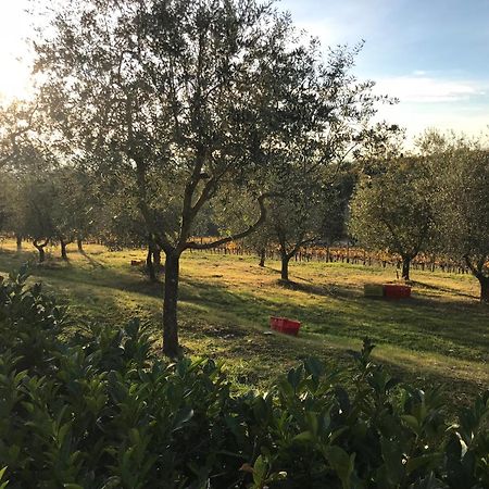 קסטלינה אין קיאנטי Il Villino Farmhouse מראה חיצוני תמונה