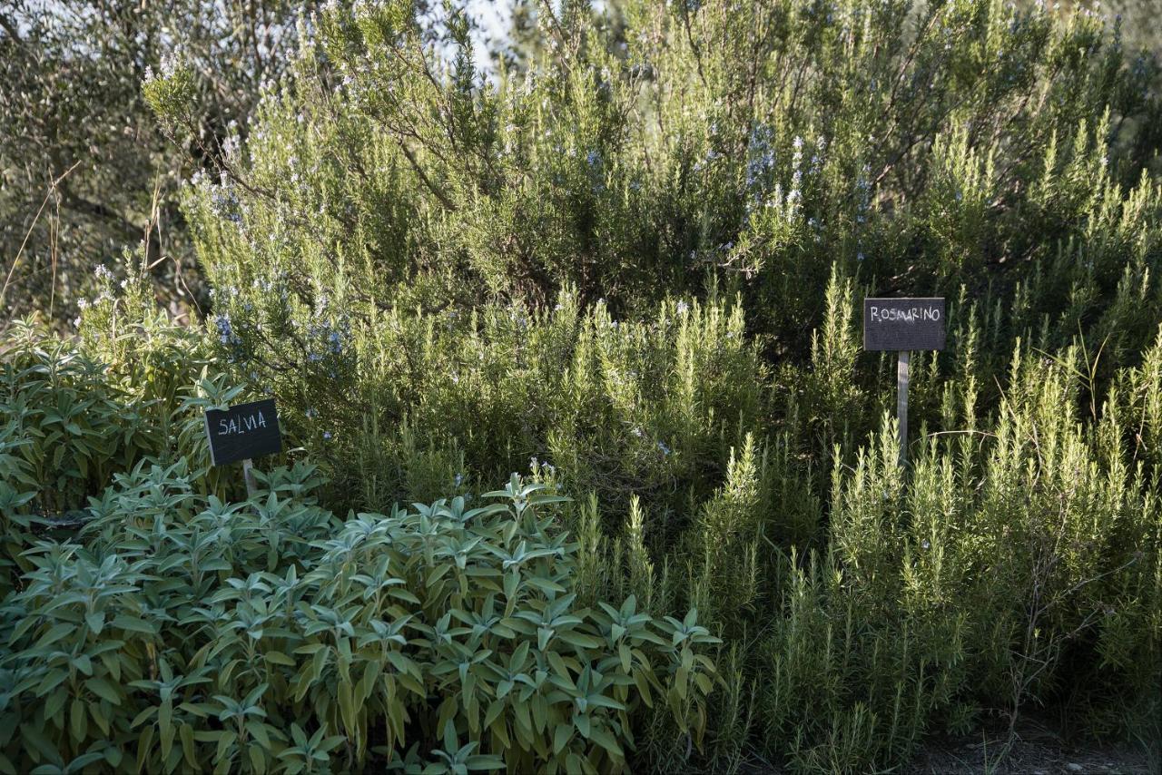 קסטלינה אין קיאנטי Il Villino Farmhouse מראה חיצוני תמונה